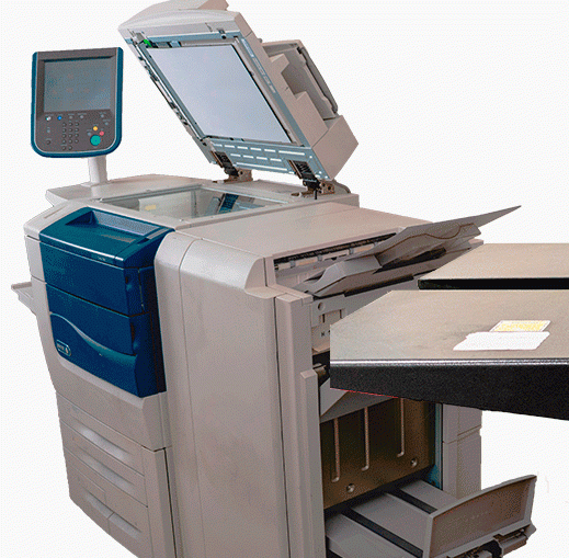 pagina-propuesta-web_03